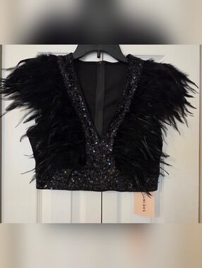 SHEIN Black Feathered Sequin Deep V Crop Top